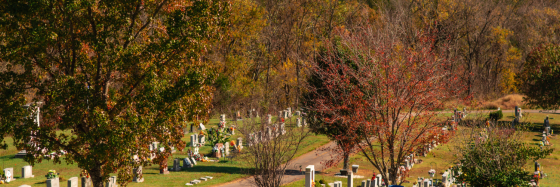 appalachian cemetery